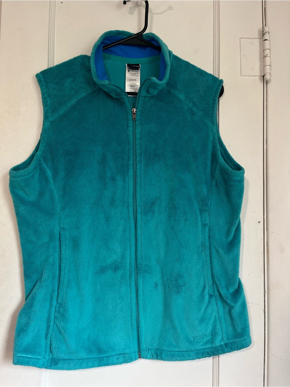 Teal Patagonia fleece vest